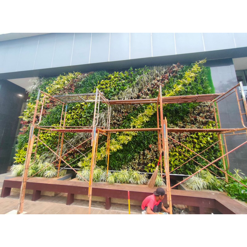 Jual Jasa Pembuatan Vertical Garden Garansi Bulan Shopee Indonesia