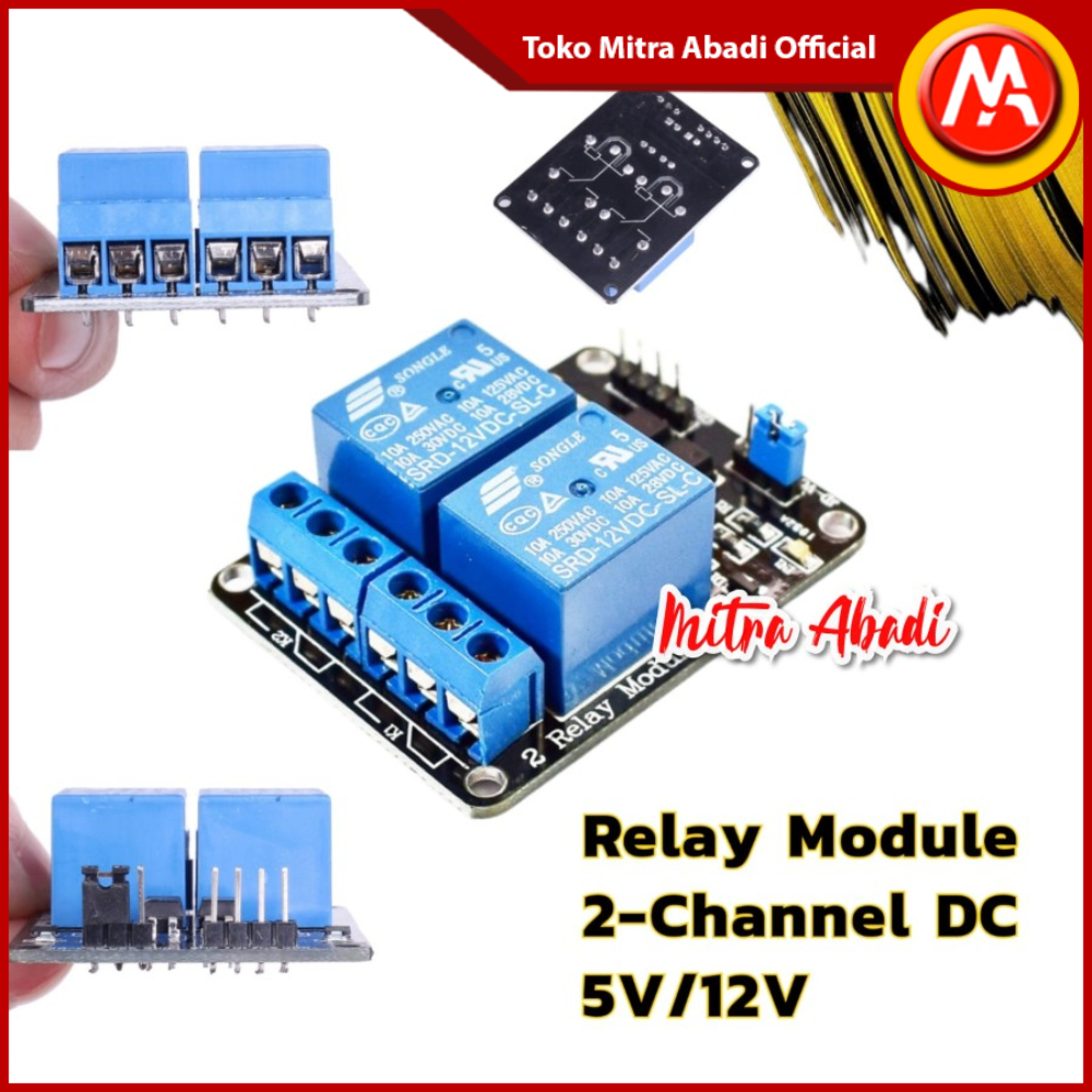 Jual Relay Module 2 Channel DC 5V / DC 12V | Shopee Indonesia