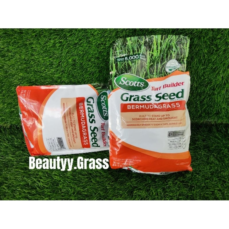 Jual Grass seed Bermuda Grass / Biji rumput bermuda original / ( Scotts