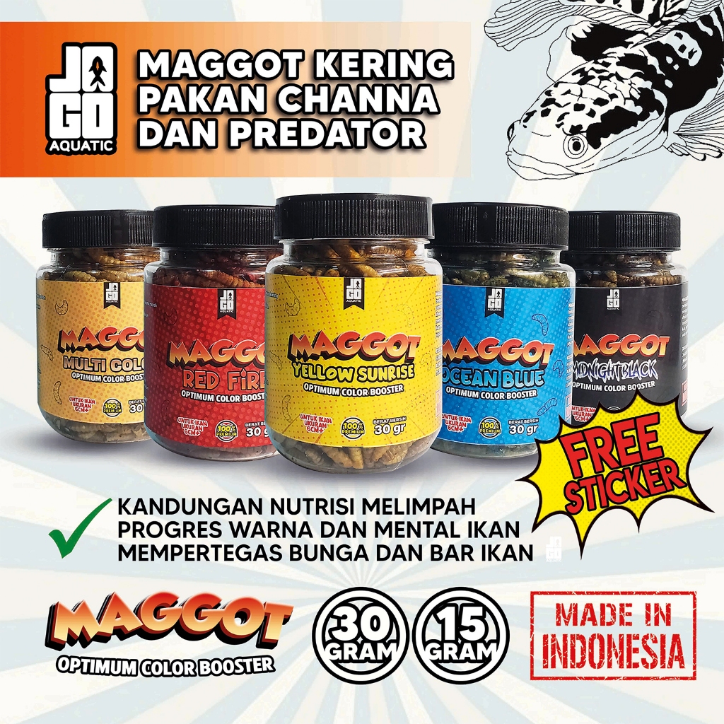 Jual MAGGOT KERING Pakan Ikan Channa Predator Progress Premium Blue ...