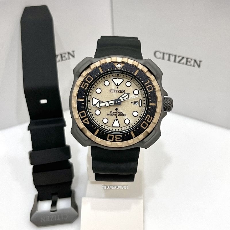 Jam citizen sale promaster