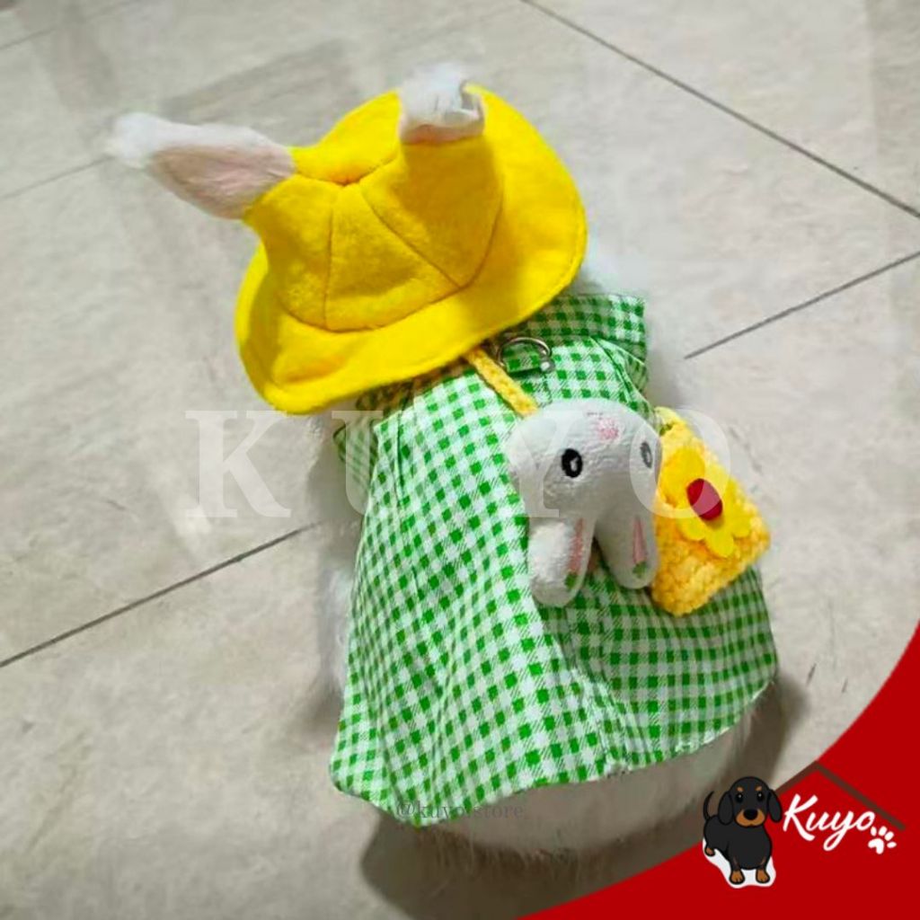 Jual Baju Set Setelan Rompi Kelinci Rabbit Dress Harness Tali Tuntun ...