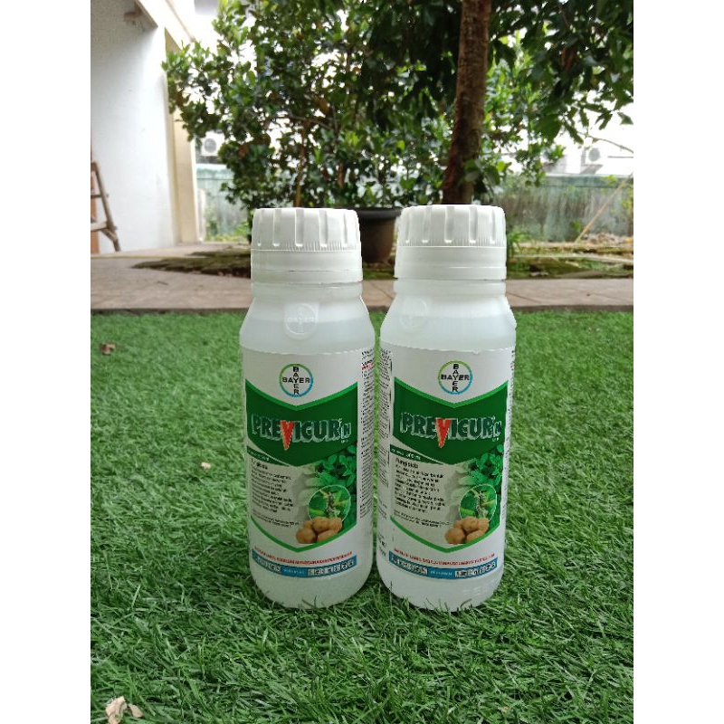 Jual Fungisida Previcur 722 SL 500ml | Shopee Indonesia
