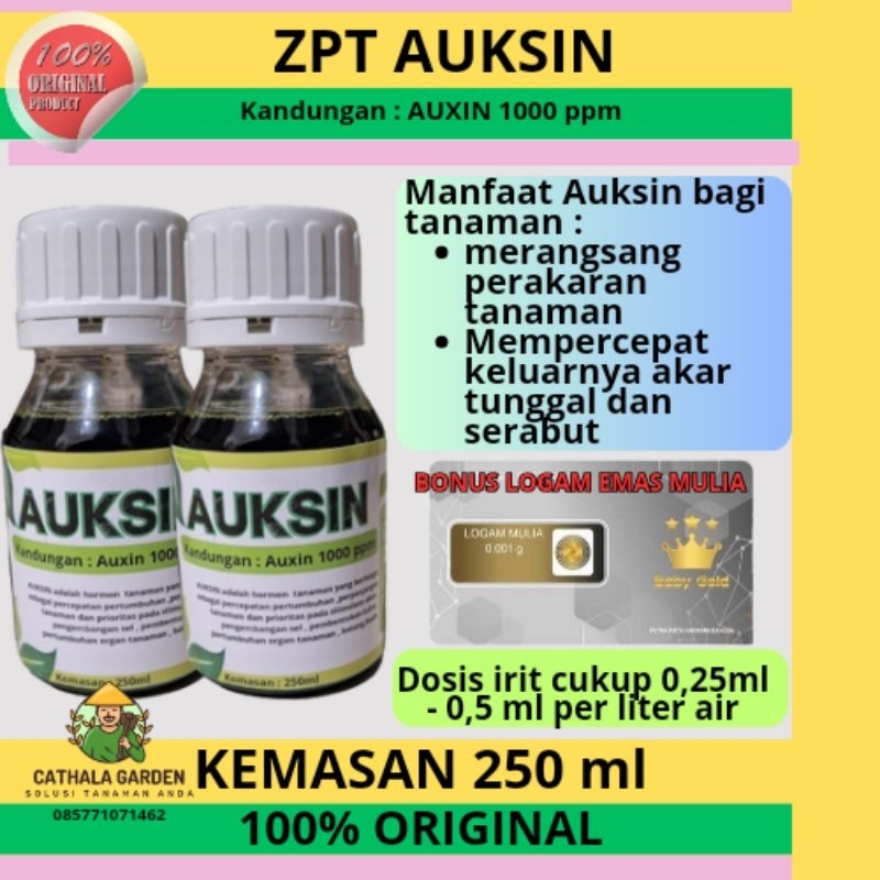 Jual ZPT HORMON AUKSIN 1000 PPM KEMASAN 250 ML | KHUSUS UNTUK TANAMAN ...