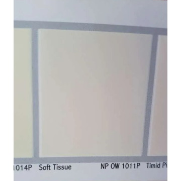 Jual SOFT TISSUE 20L NIPPON PAINT SPOTLESS 20 L (GALON) | Shopee Indonesia