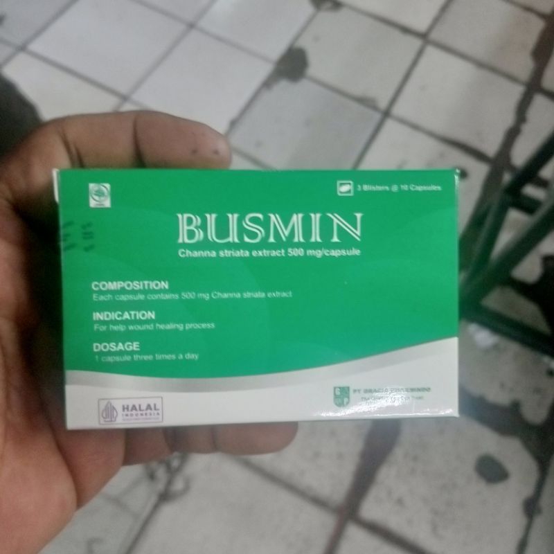 Jual busmin kapsul ekstrak ikan gabus box isi 30 kapsul | Shopee Indonesia