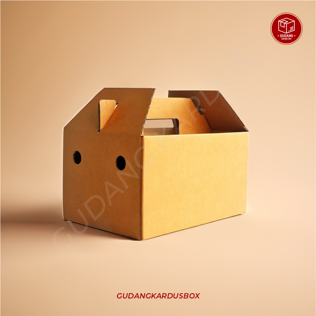 Jual Box Jinjing (26,5 x 17,5 x 14,5 cm) ( Jinjing ) tenteng/Buah ...