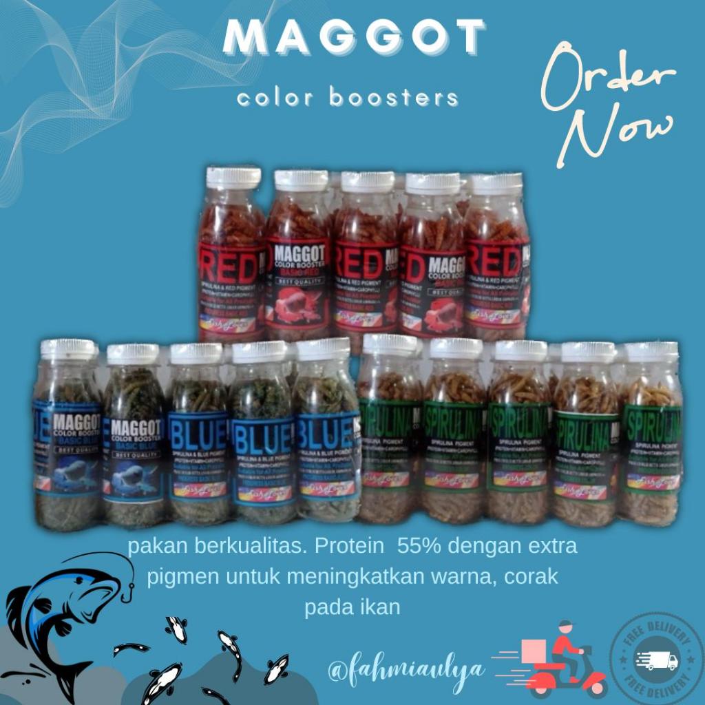 Jual MAGGOT COLOR BOOSTER PAKAN ALTERNATIF COLOR BOOSTER | Shopee Indonesia
