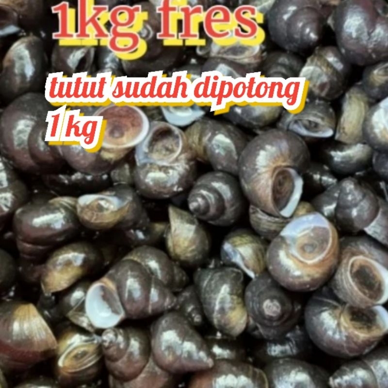 Jual tutut fresh 1 kg Sudah di potong | Shopee Indonesia