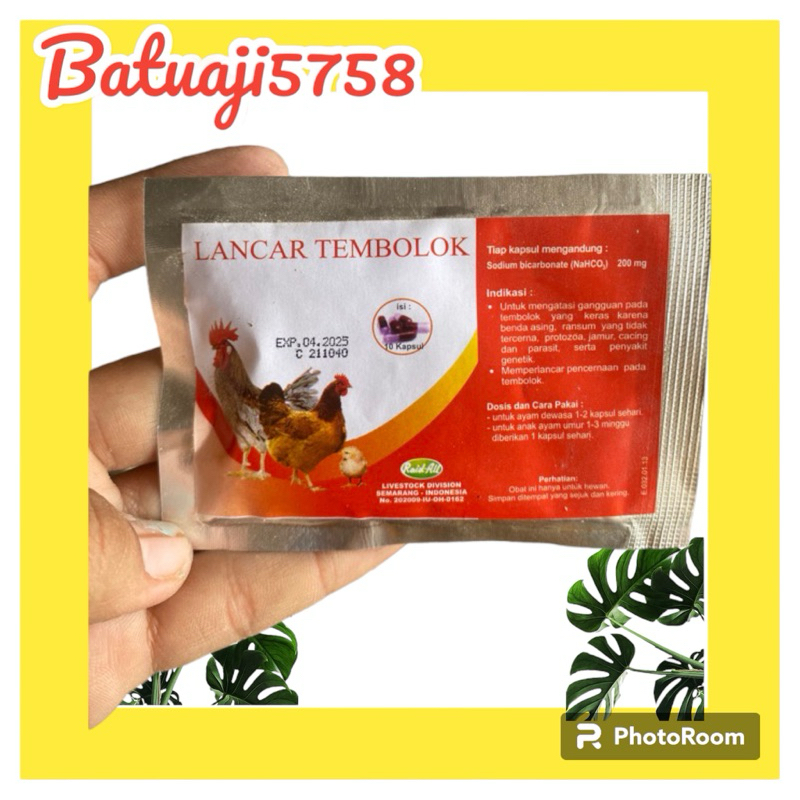 Jual Lancar Tembolok 10 Kapsul | Shopee Indonesia