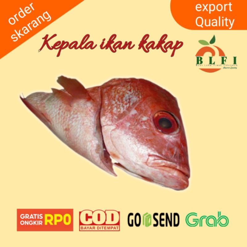 Jual KEPALA IKAN KAKAP BESAR ( 1PCS ) | Shopee Indonesia