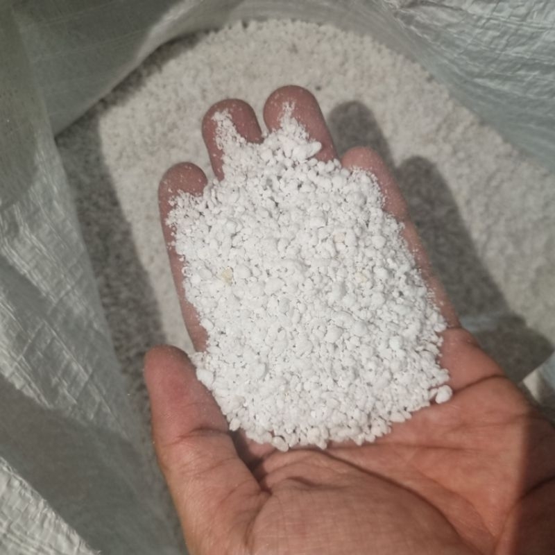 Jual perlite media tanam / reptil 500gr | Shopee Indonesia