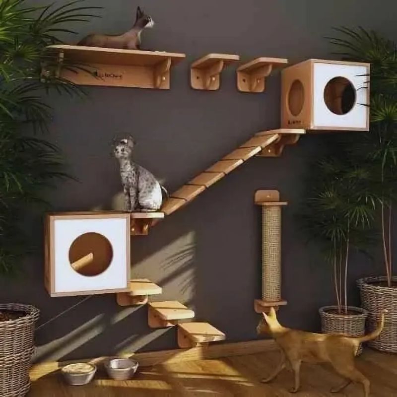 Jual Cat Playground / Cat Wall / Cat Condo / Rumah Kucing | Shopee ...