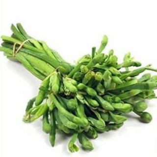 Chexiya porno yulduzlari rasmlar