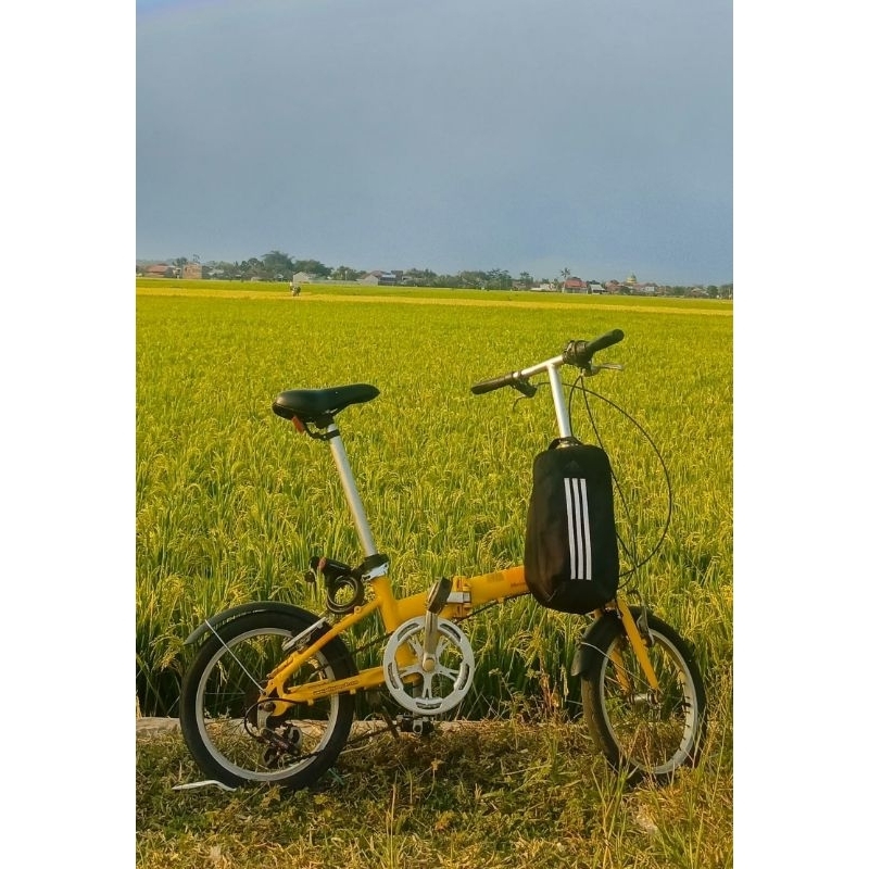 Jual Polygon B2W 16 Shopee Indonesia