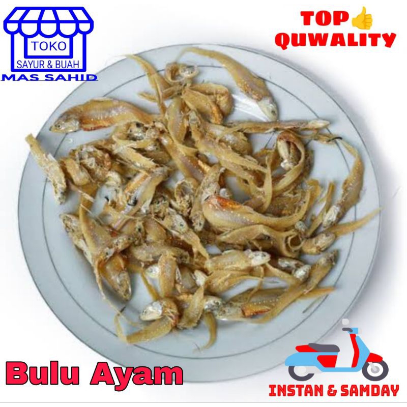 Jual Ikan Asin Bulu Ayam 100 Gram | Shopee Indonesia