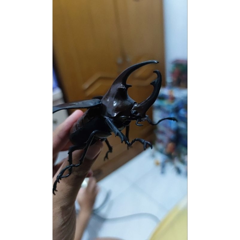 Jual gashapon bandai beetle kumbang tanduk Shopee Indonesia