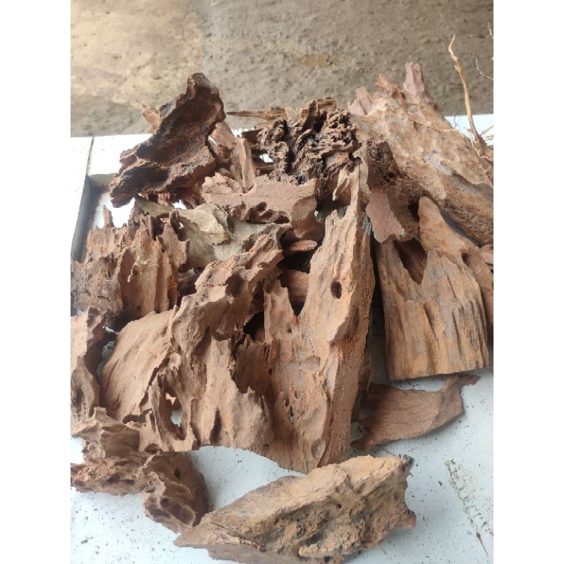 Jual kayu rentek aquascape size s | Shopee Indonesia