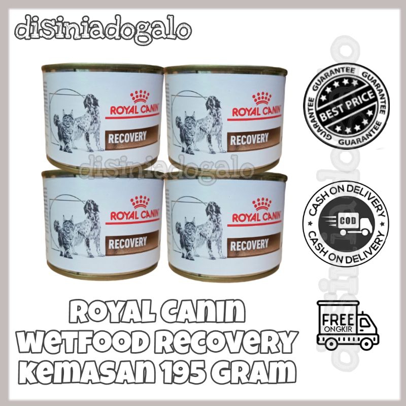 Kandungan royal 2024 canin recovery