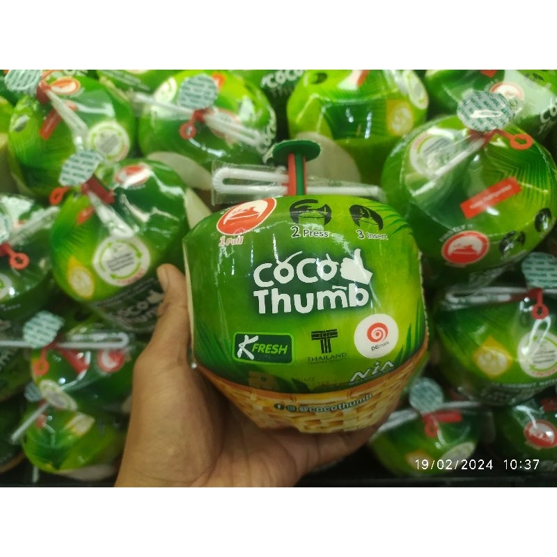 Jual kelapa muda Coco thumb import 1 buah / kelapa muda import Thailand 1 buah premium Shopee