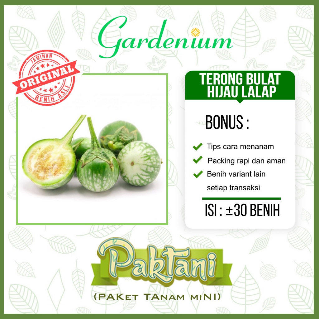 30 Benih Terong Bulat Hijau Lalap Paktani