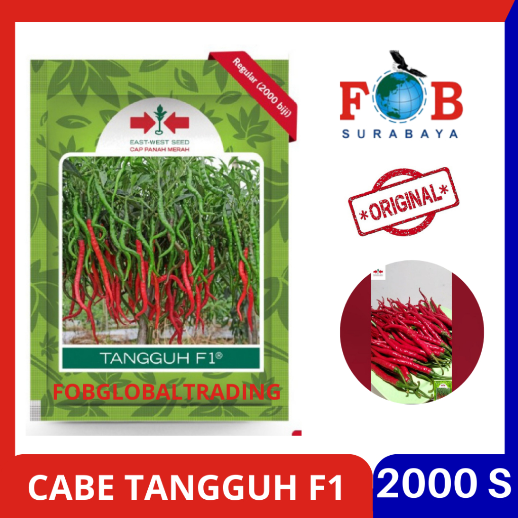 Jual Benih Cabe Merah Keriting Tangguh F1 2000 Butir Produk Panah Merah Shopee Indonesia 