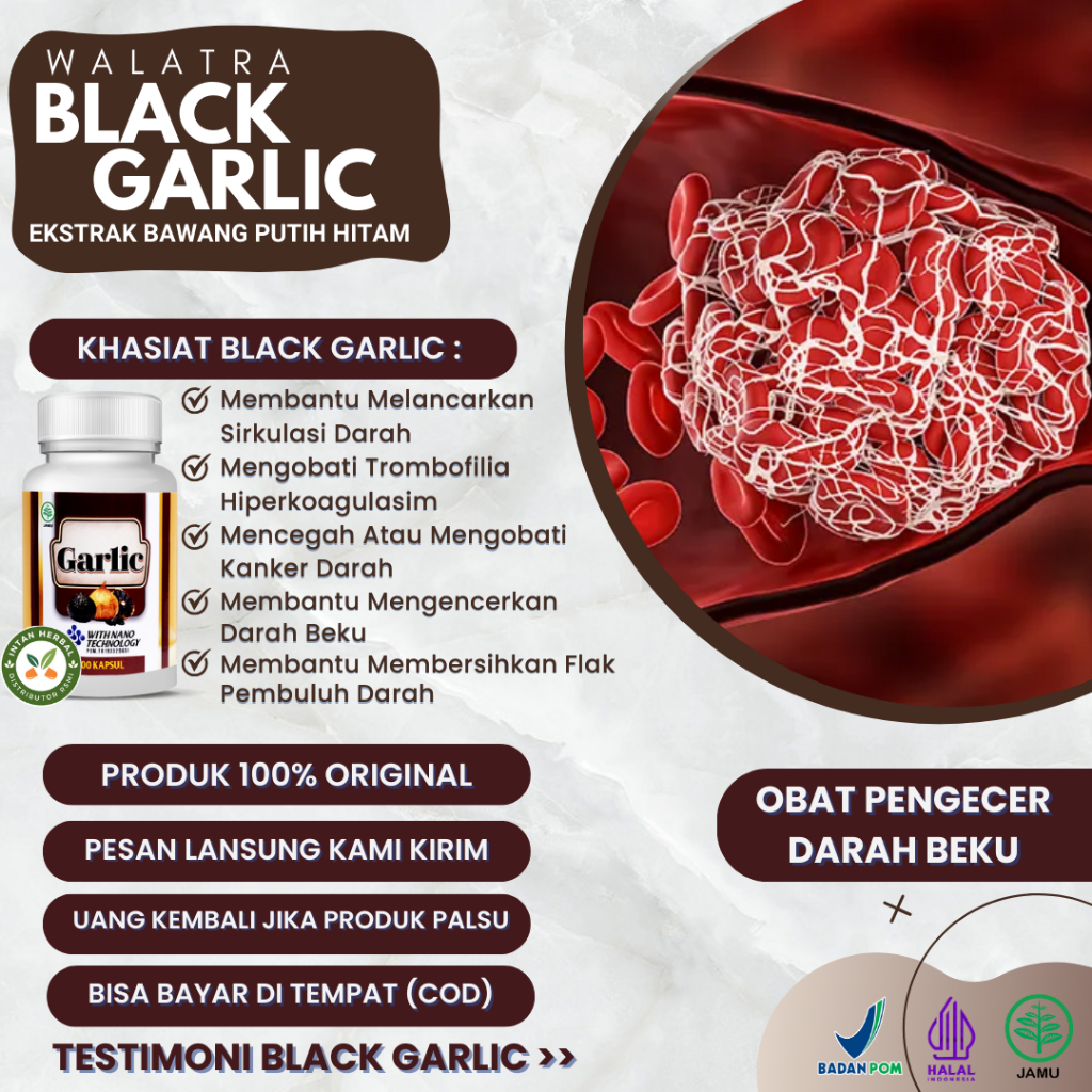 Jual Black Garlic Obat Pengecer Darah Beku Pengencer Darah Kental Gumpalan Darah 2261