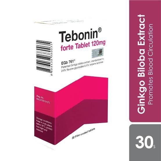 Jual Tebonin Forte 120mg Ginkgo Biloba - Tebokan Forte 30 Tabs | Shopee