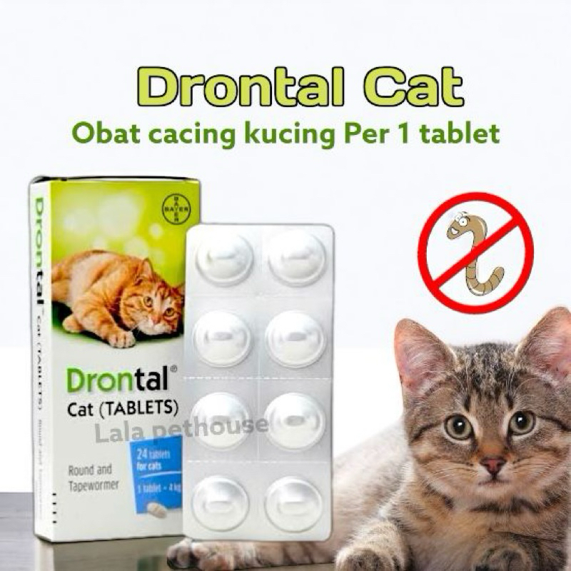 Jual OBAT CACING KUCING DRONTALL CAT 1 BIJI OBAT CACING KUCING OBAT ...