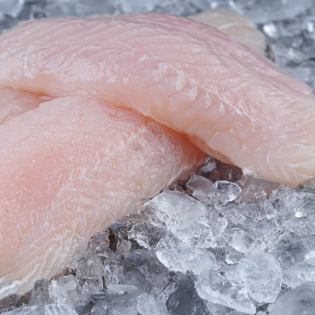 Jual 100% Fresh Dori Filet Dory Fillet Tebal Gurih Tanpa Bau Tanah 1 kg ...