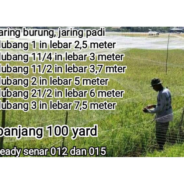 Jual Super Star COD jaring burung jaring padi jaring pengaman padi ...