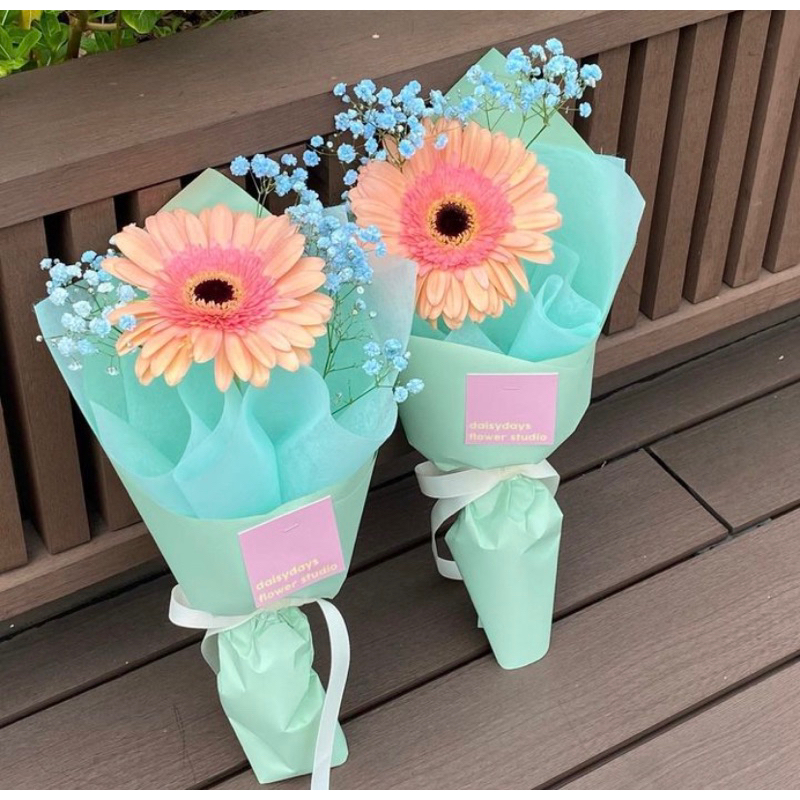 Jual daisy days single daisy of garbera bouquet bucket buket bunga ...