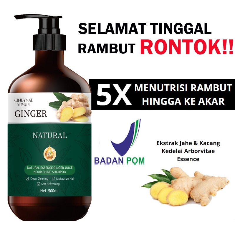 Jual [ Bpom ] Hair Care Treatment Shampoo Ginger 500ml Sampo Penumbuh