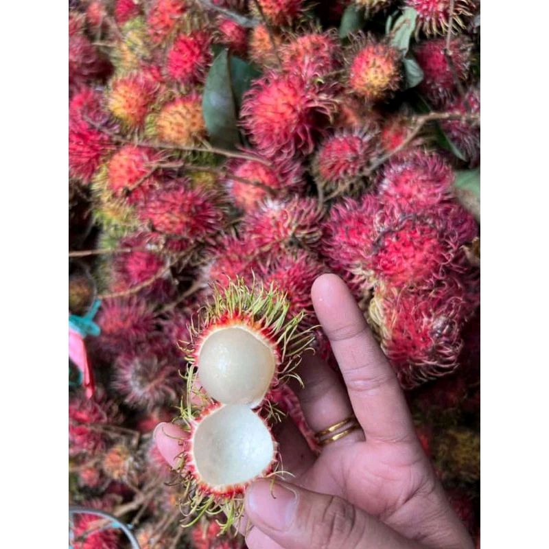 Jual RAMBUTAN BINJAI SUPERAN | Shopee Indonesia