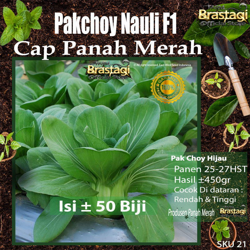 Jual Fbtg 50 Benih Biji Bibit Sawi Pakcoy Nauli F1 Pakchoy