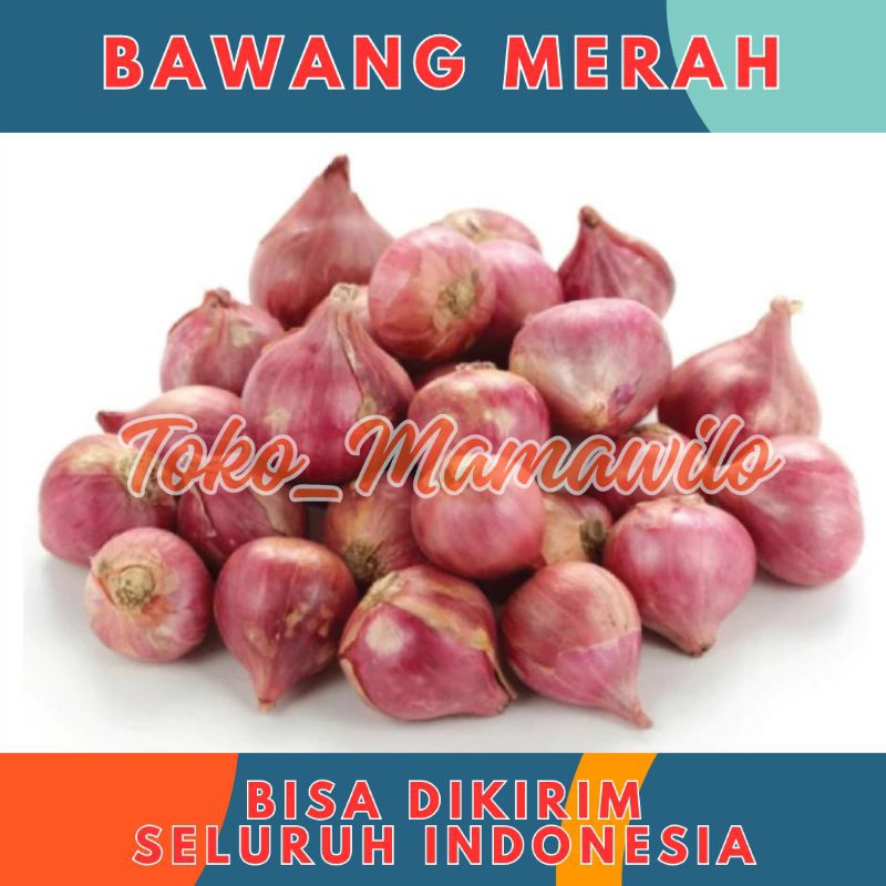 Jual Bawang Merah Brambang Fresh Segar Murah 1kg 1000 Gr 1000gr 1 Kg