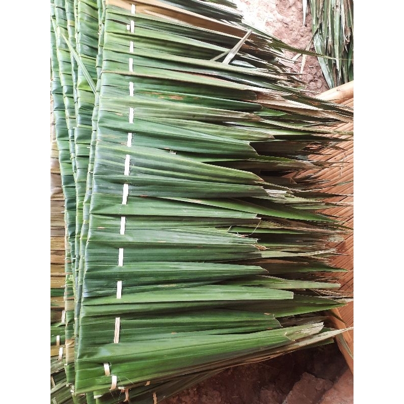 Jual Atap kirai / Atap rumbia / Atap 50pcs | Shopee Indonesia