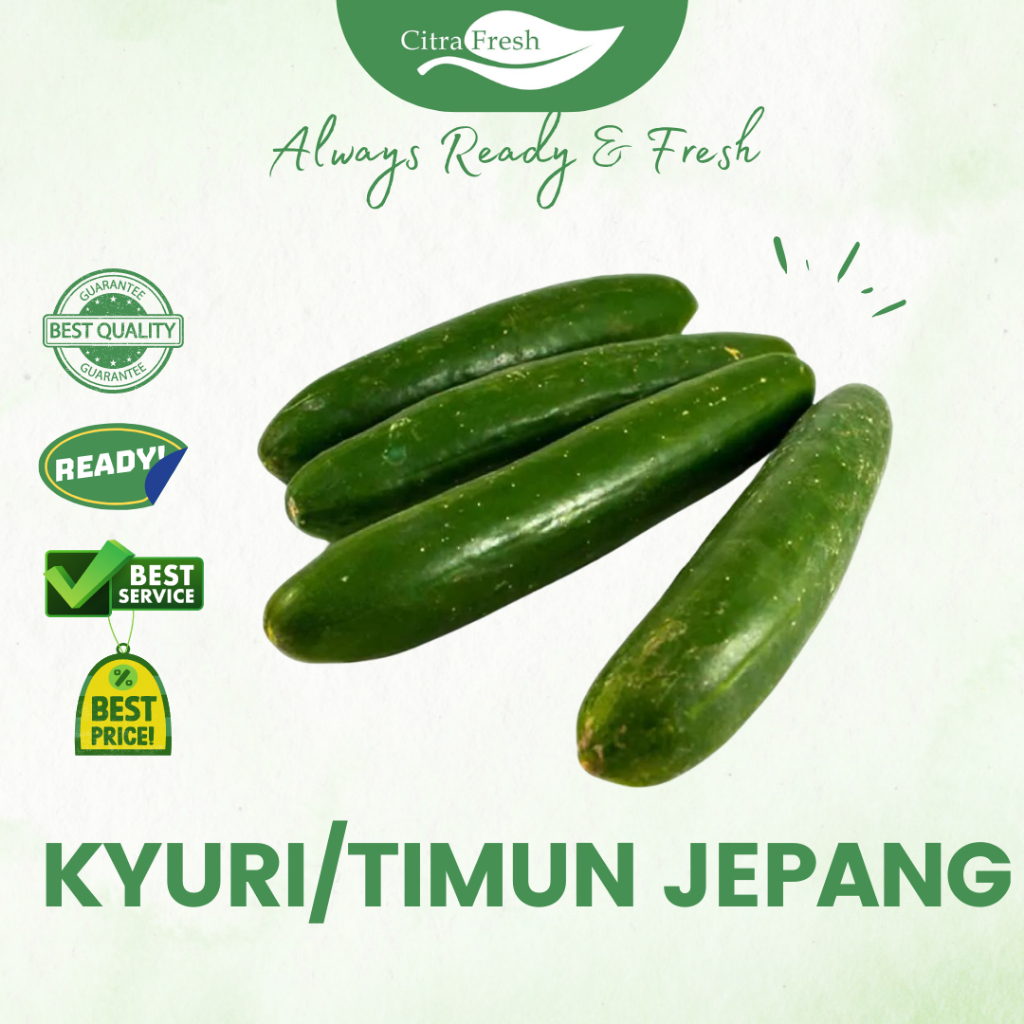 Jual CITRA FRESH - Kyuri/Timun Jepang 1 Kg - Selalu Ready dan Fresh ...