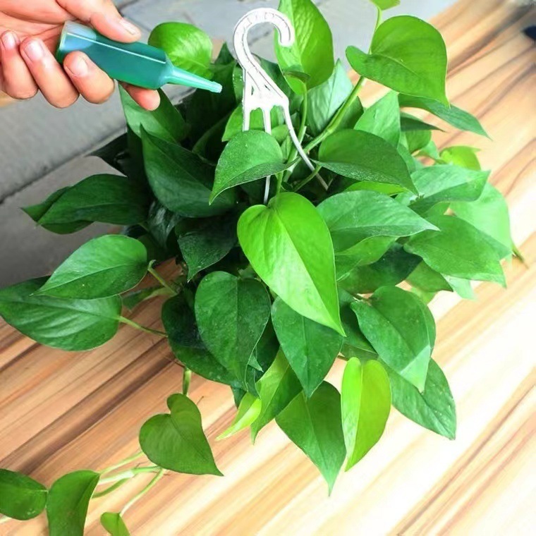 Pupuk Daun Untuk Semua Jenis Tanaman Liquid Fertilizer / Pupuk Vitamin B1 / Pupuk Penyubur Tanaman 38 ML / Vitamin Tanaman / Obat Tanaman SH N04