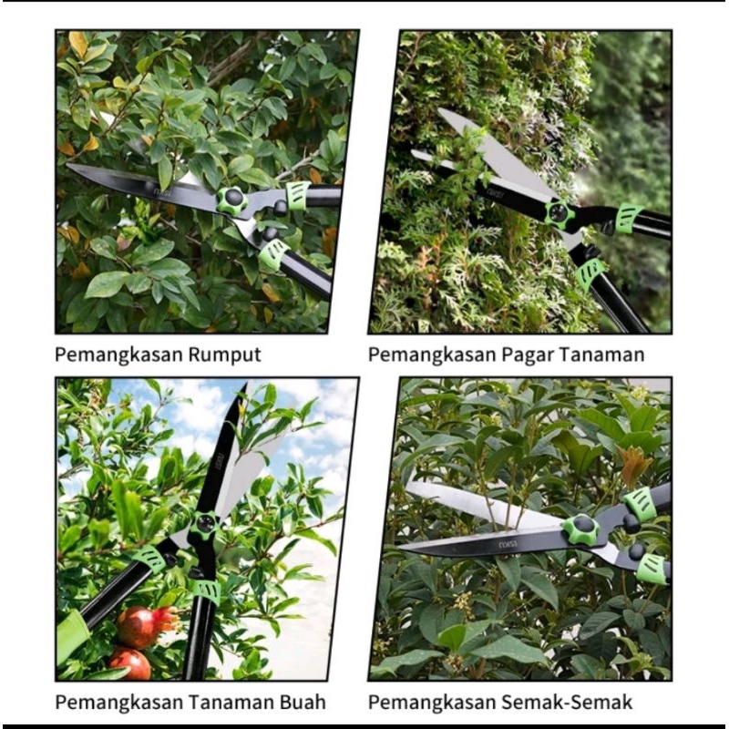 Jual Gunting Rumput Taman Gunting Tanaman Gunting Pangkas Daun Rumput ...