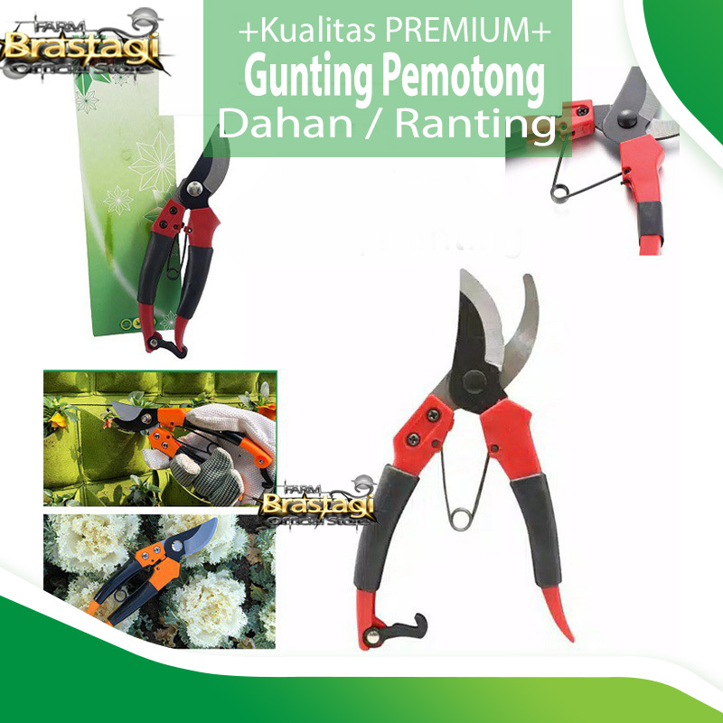 Jual FBTG - Gunting Dahan Ranting Batang Daun Tanaman Bunga Gunting ...