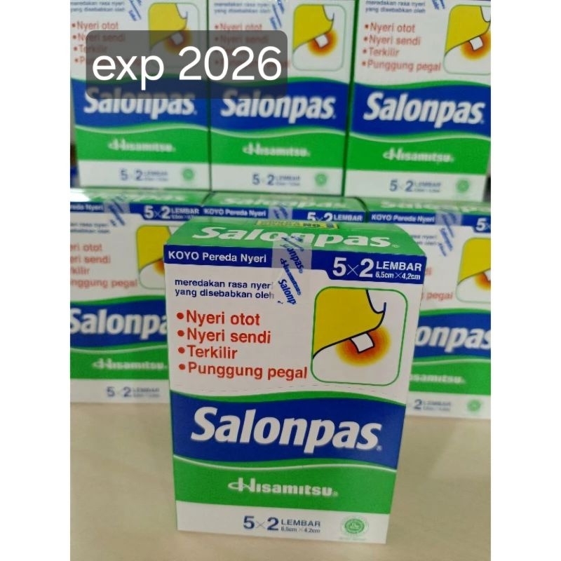 Jual Salonpas Koyo 5x2 Lembar 1box Shopee Indonesia