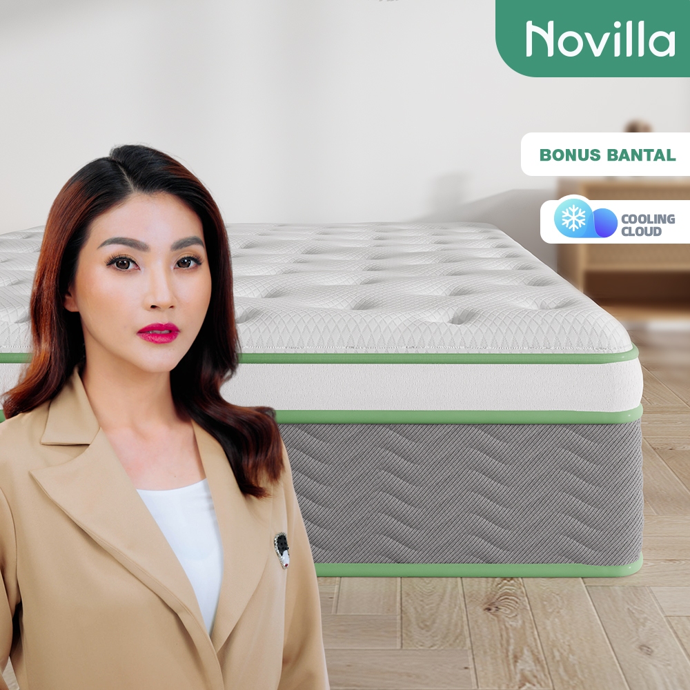 Jual 【B】Novilla Kasur Empuk Tebal 25cm Springbed Single Lantai Anti ...