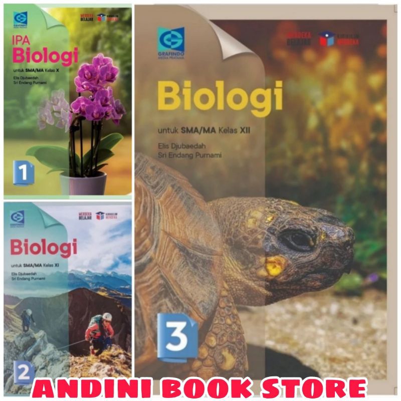 Jual BUKU BIOLOGI KELAS 10 11 12 SMA/MA GRAFINDO KURIKULUM MERDEKA ...