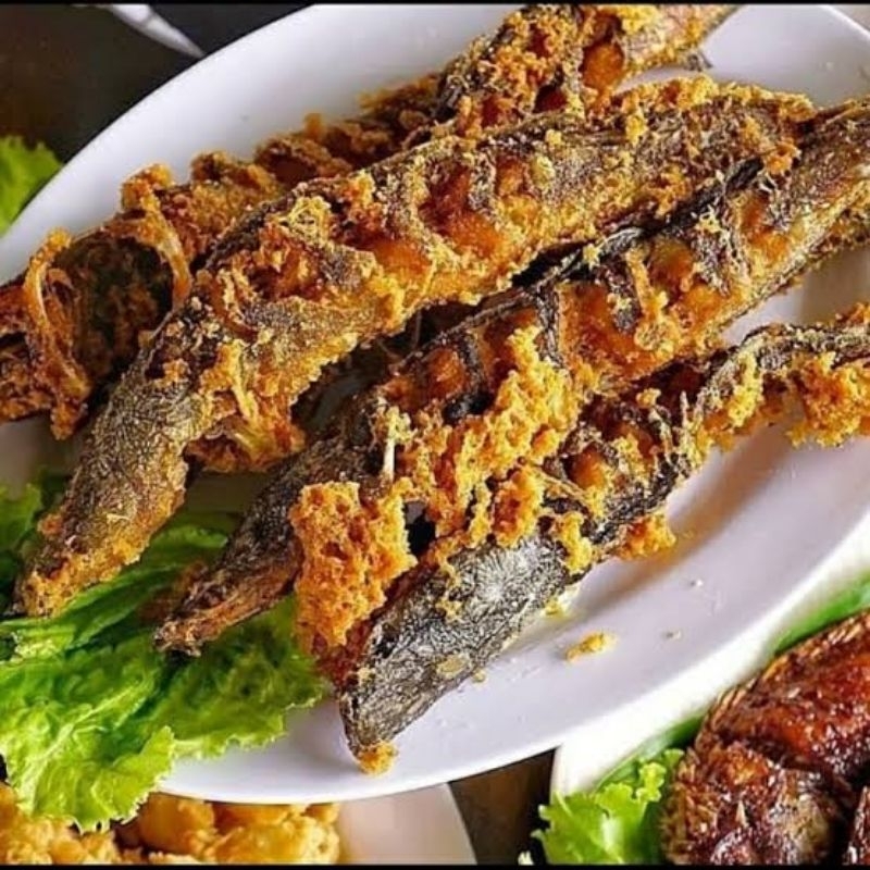 Jual [LELE 4 EKOR BESAR] Ikan Lele 4 Ekor Marinasi Bumbu Kuning Besar ...