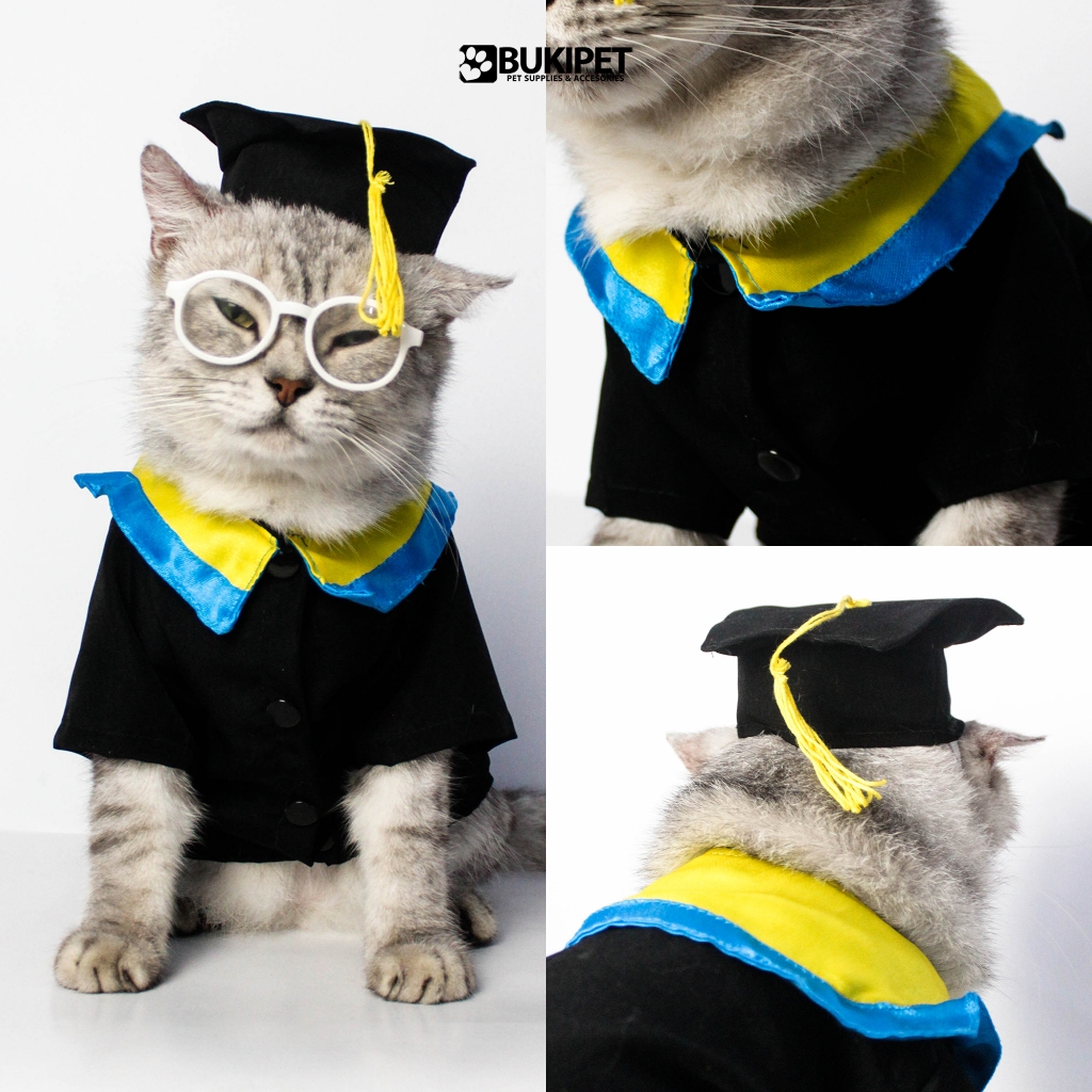 Jual Baju Kucing Anjing Aksesoris Hewan Lucu Cowok Cewek wisuda - Buki ...