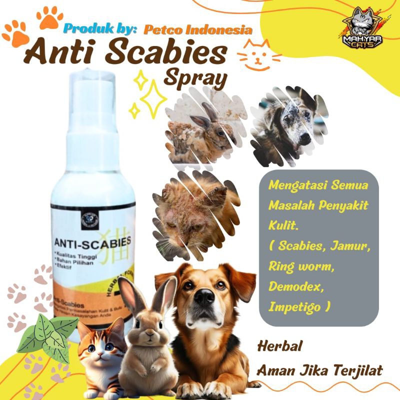 Jual Obat Jamur Kucing Scabies Demodex Impetigo Jamur Kutu Parasit ...