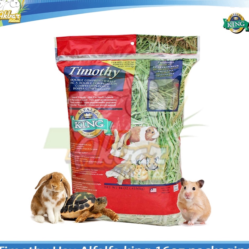 Jual First Order Rumput Hay Timothy by Alfalfa king 16oz 45 Gram Fresh Pack Shopee Indonesia