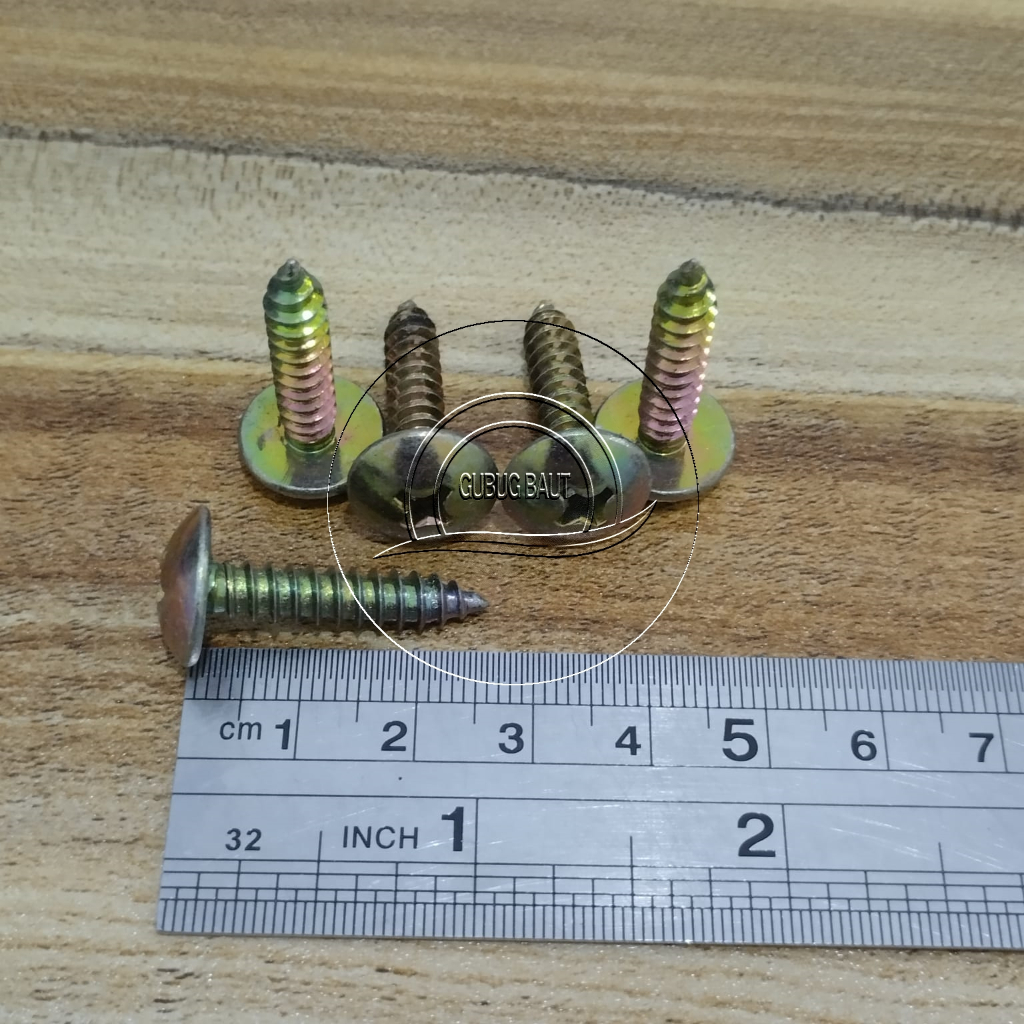 Jual SEKRUP TS JT PANJANG 2,5 CM 2,5CM 12X1 SKRUP 12 X 1 IN TAB TSAB ...
