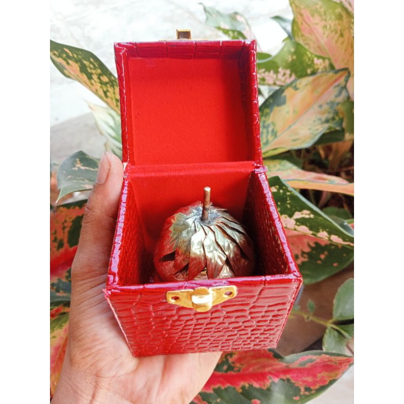 Jual MADAT APEL JIN ASLI SUPER PREMIUM SATU SET + Tempat | Shopee Indonesia
